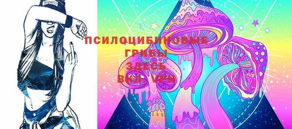 дмт Мегион