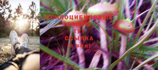 таблы Михайловка