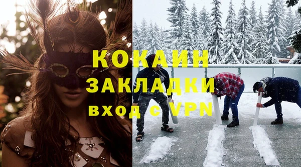 индика Алагир